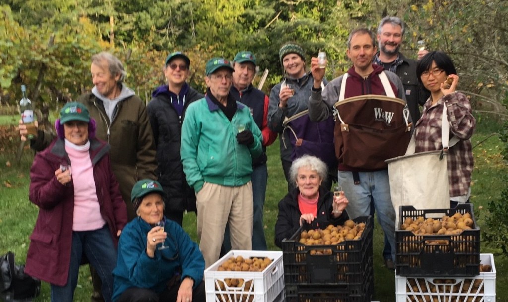 2017 Kiwi wine to celebrate 2018 kiwi harvest!